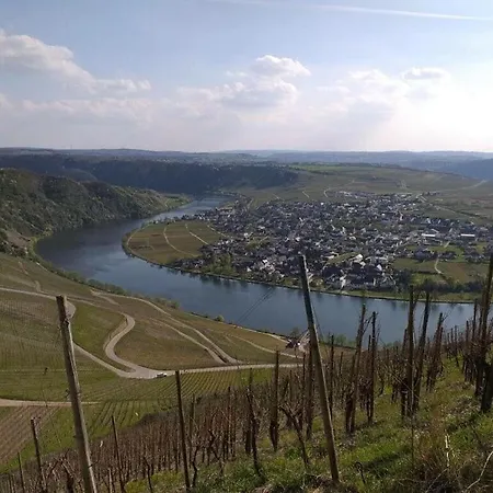 Apartment Moselle View